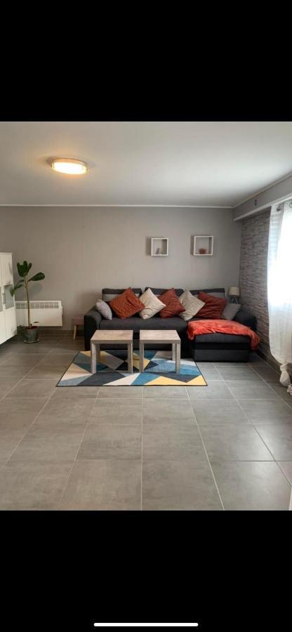Convivialetzen Apartment Chatenoy-le-Royal ภายนอก รูปภาพ