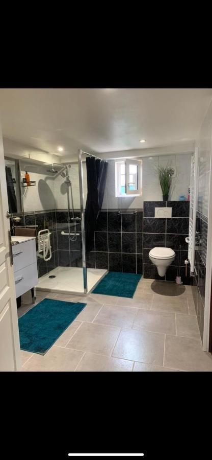 Convivialetzen Apartment Chatenoy-le-Royal ภายนอก รูปภาพ
