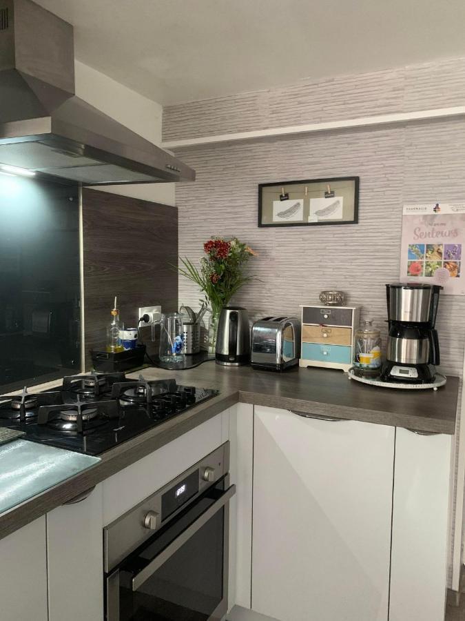 Convivialetzen Apartment Chatenoy-le-Royal ภายนอก รูปภาพ